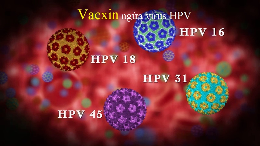 vacxin ngua virus Human papillomavirus 